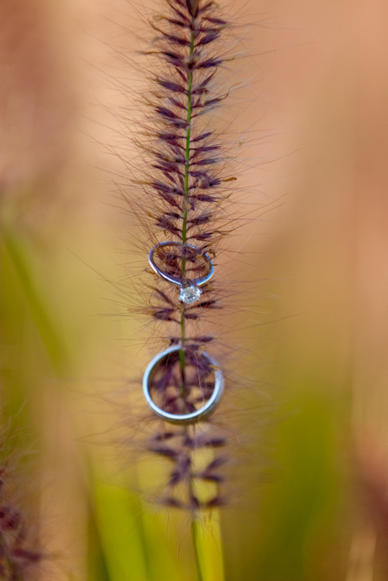 Helen and Tim Engagement Photography