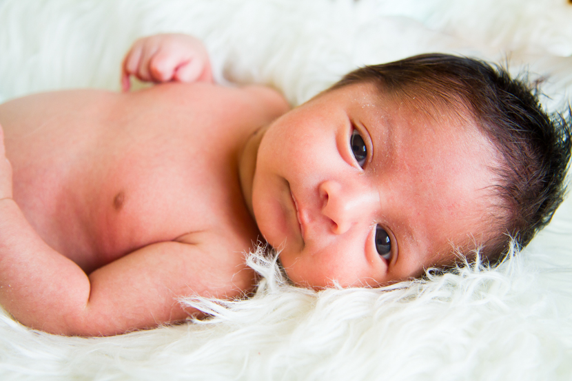 The Wong Family Photography