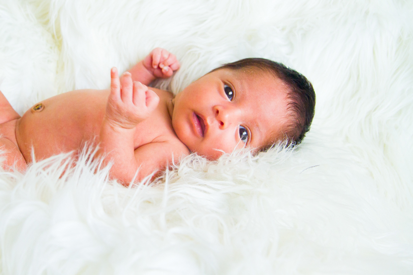 The Wong Family Photography