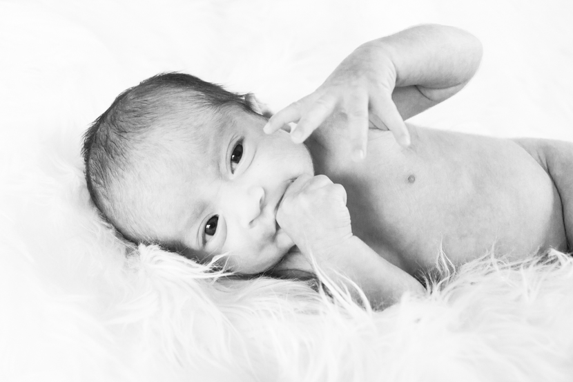 The Shah Family Photography