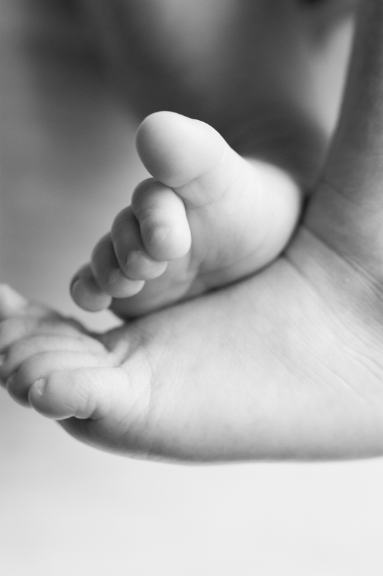 The Shah Family Photography