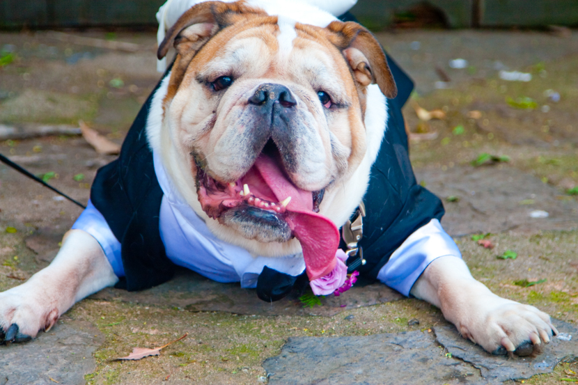 Lacey and Connor Wedding Photography